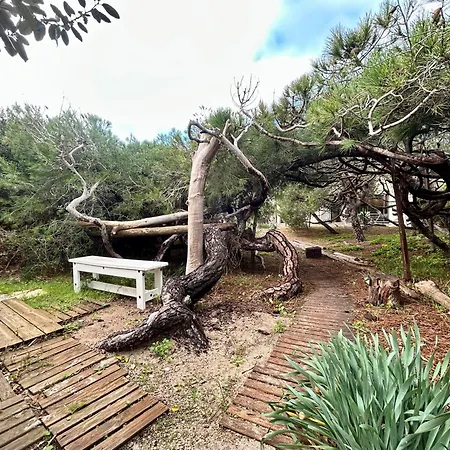 Luxe Le Levant Апартаменты *